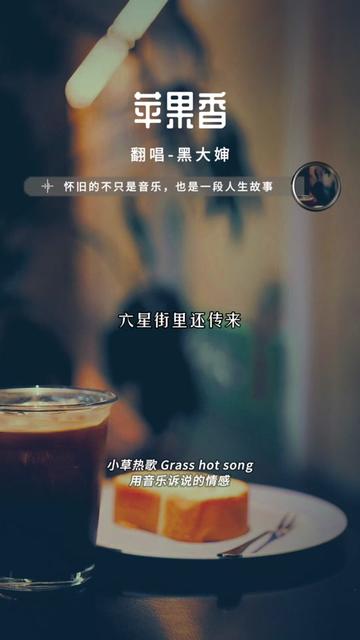 苹果香高潮版黑大婶苹果香歌曲原唱-第1张图片-太平洋在线下载